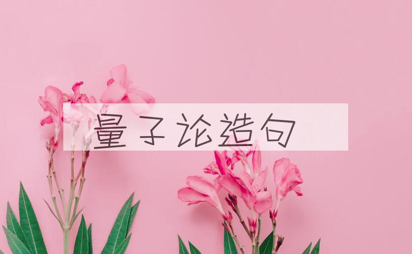 用量子论造句