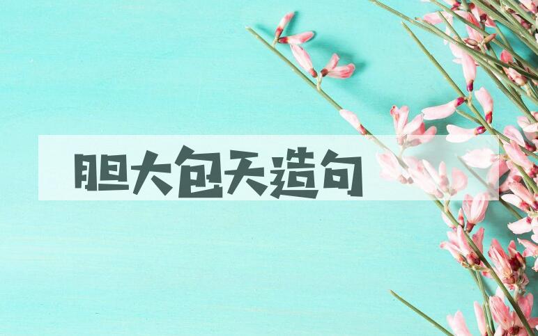 用胆大包天造句