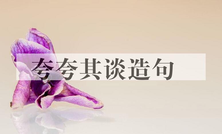 用夸夸其谈造句
