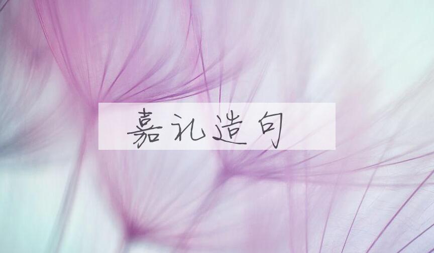 用嘉礼造句