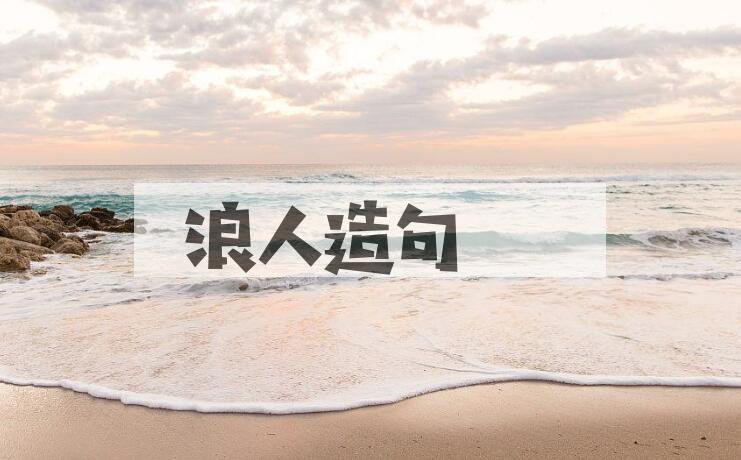 用浪人造句