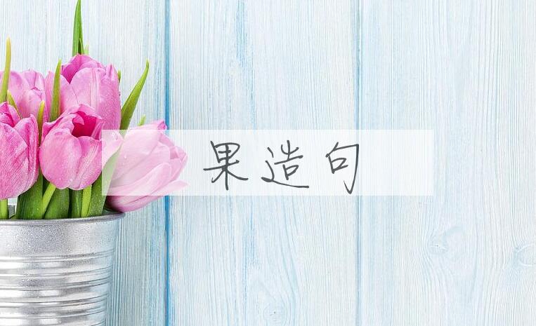 用杧果造句