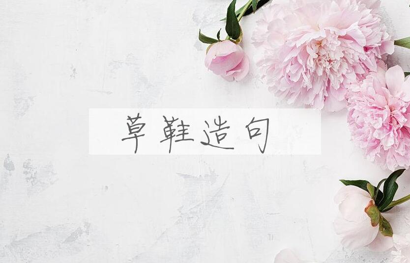 用草鞋造句