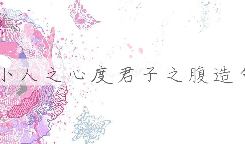 用以小人之心，度君子之腹造句