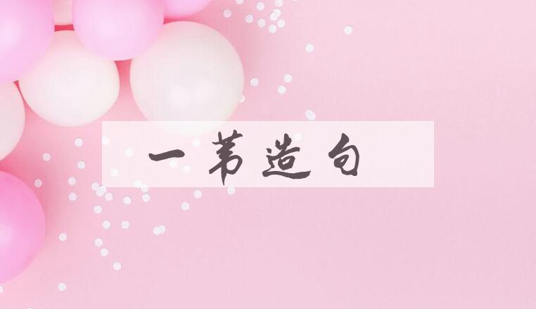 用一苇造句