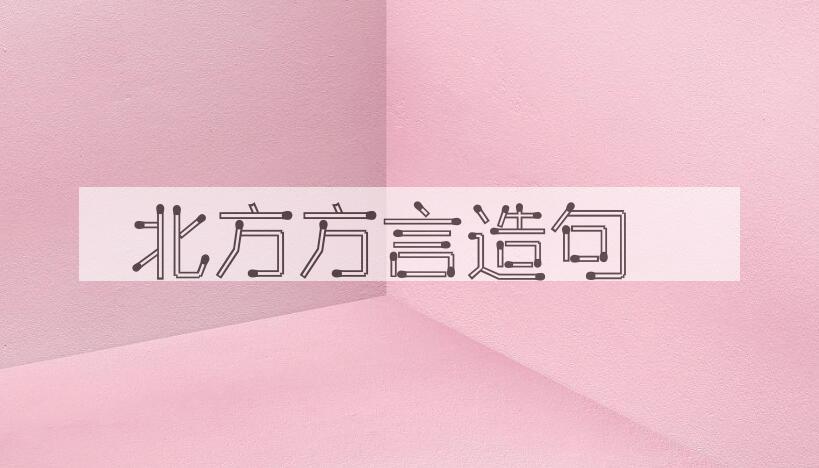 用北方方言造句