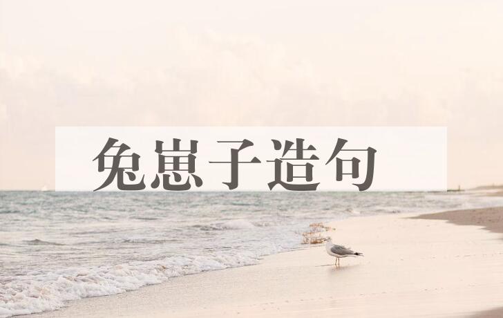 用兔崽子造句