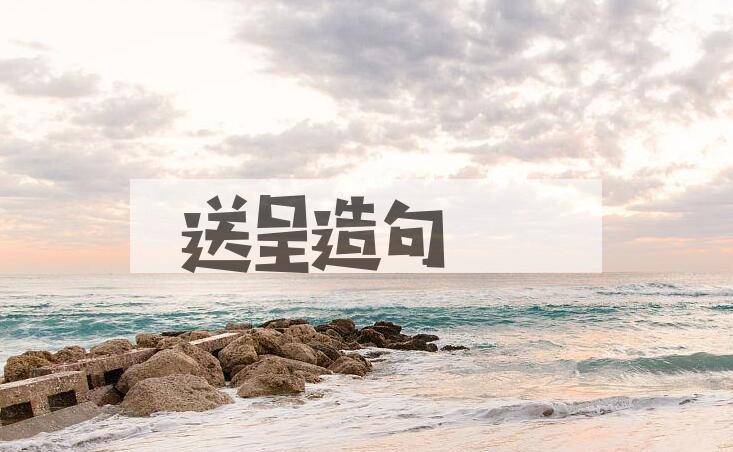 用送呈造句