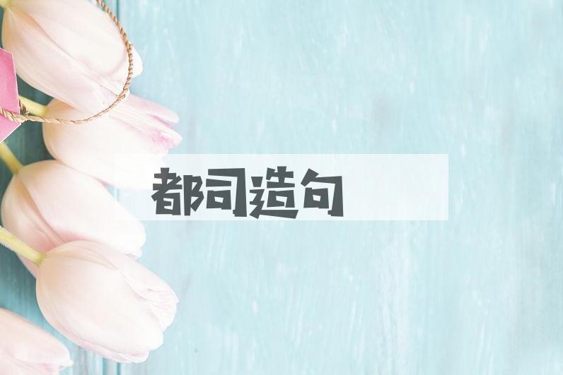 用都司造句