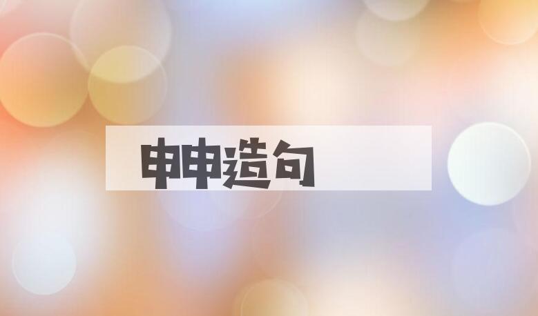 用申申造句