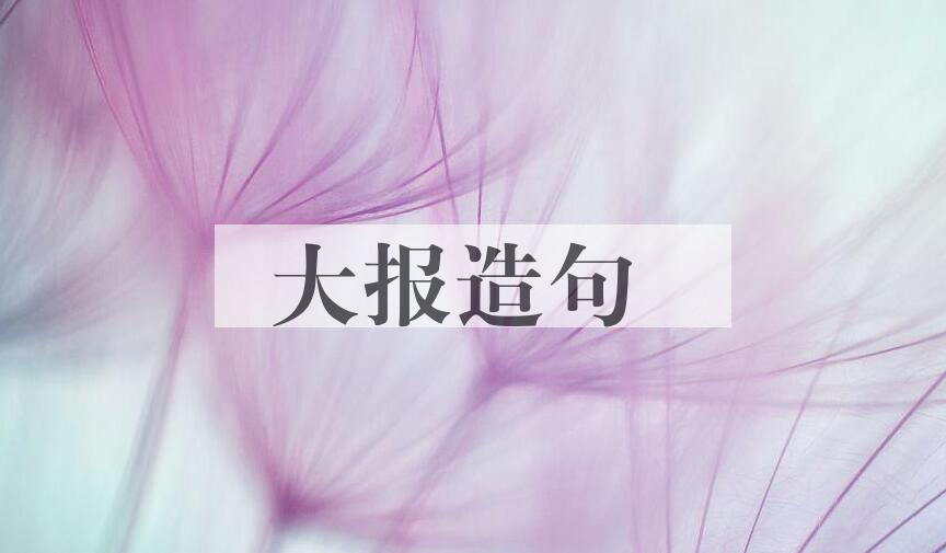 用大报造句
