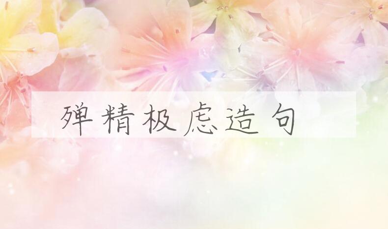 用殚精极虑造句