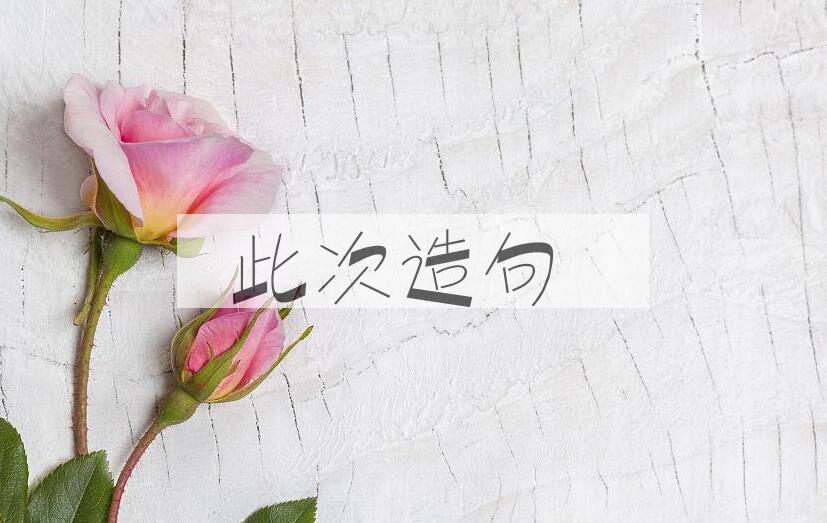 用此次造句