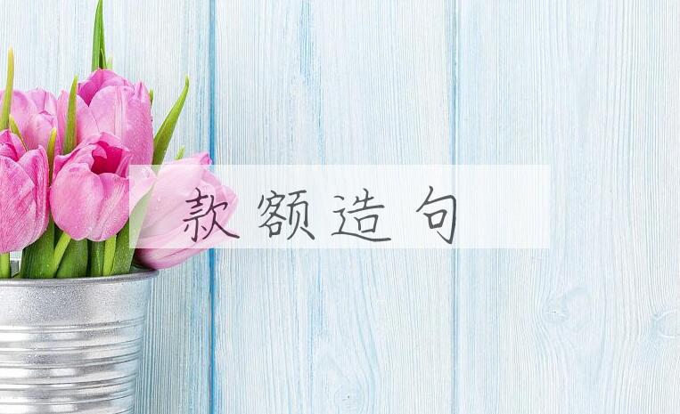 用款额造句