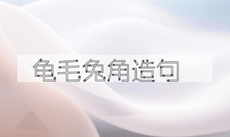 用龟毛兔角造句