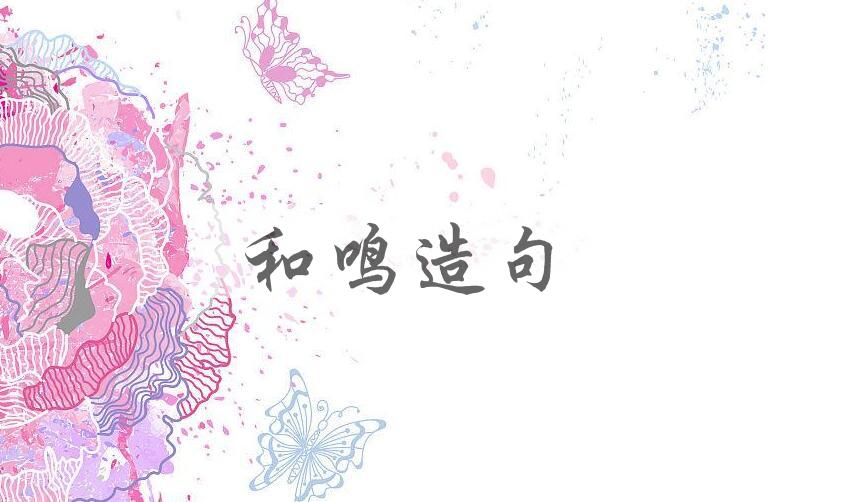 用和鸣造句