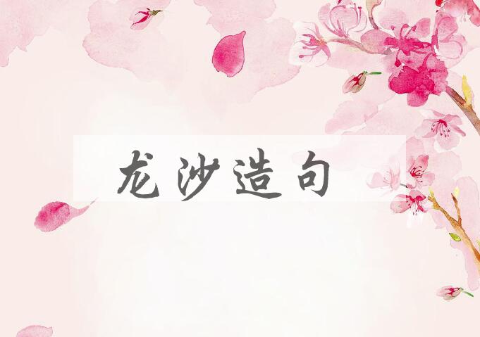 用龙沙造句