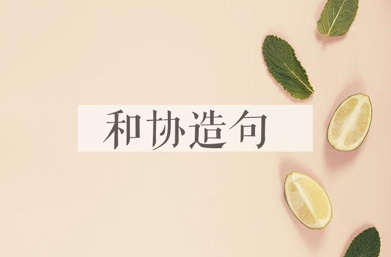 用和协造句