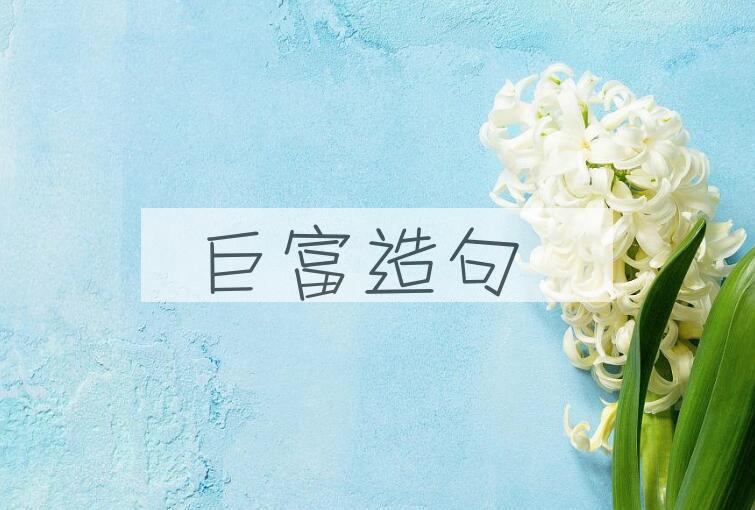 用巨富造句