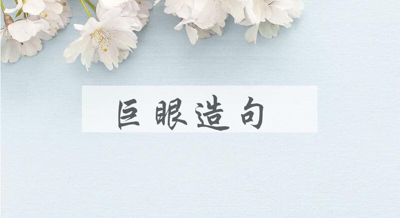 用巨眼造句