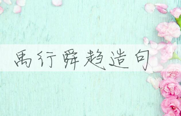 用禹行舜趋造句