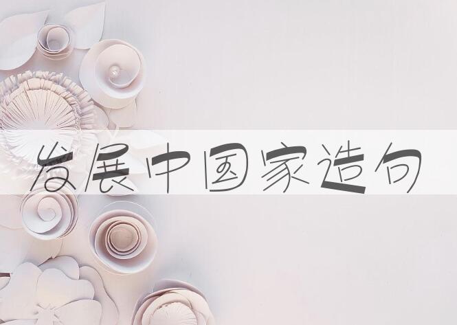 用发展中国家造句