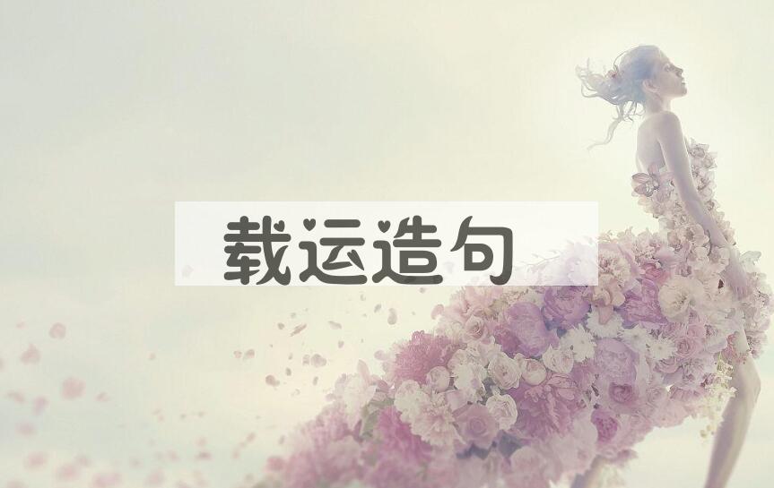 用载运造句