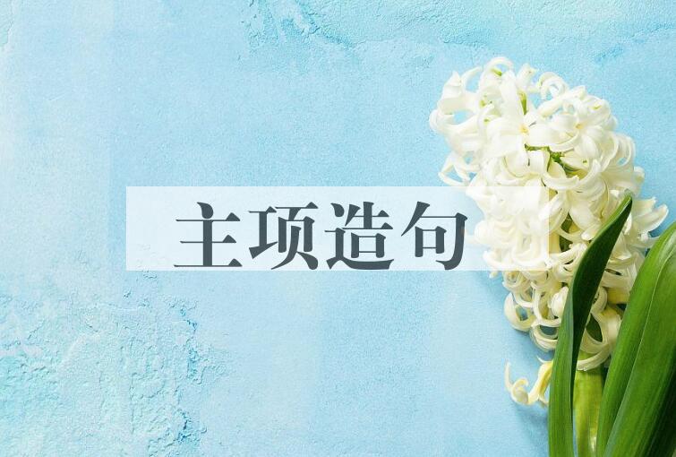 用主项造句
