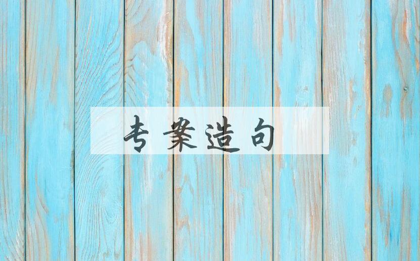 用专案造句
