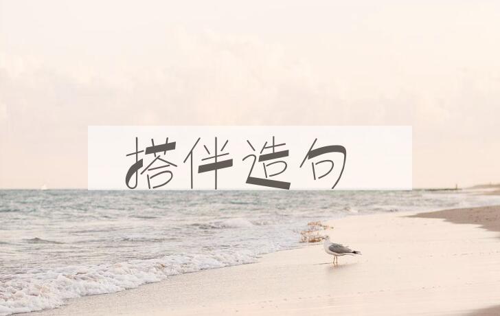 用搭伴造句