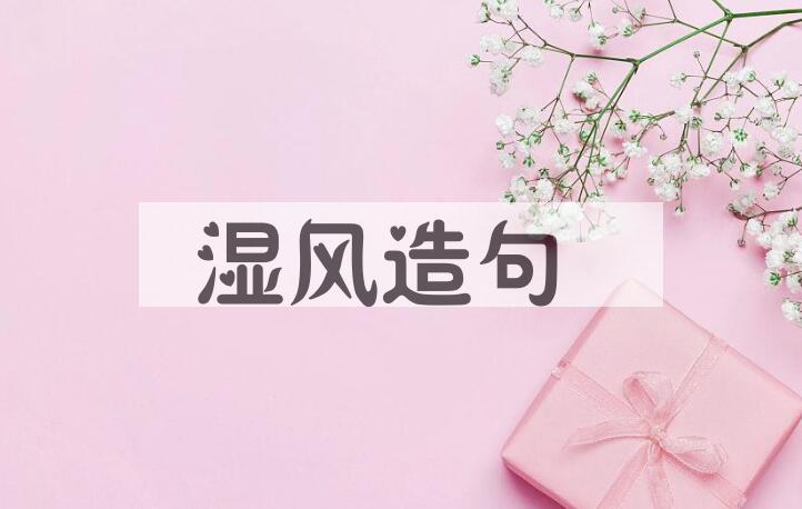 用湿风造句