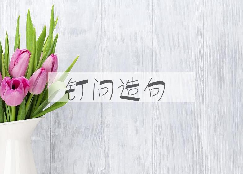 用钉问造句