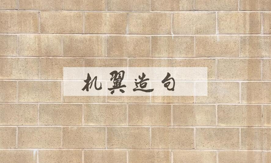 用机翼造句