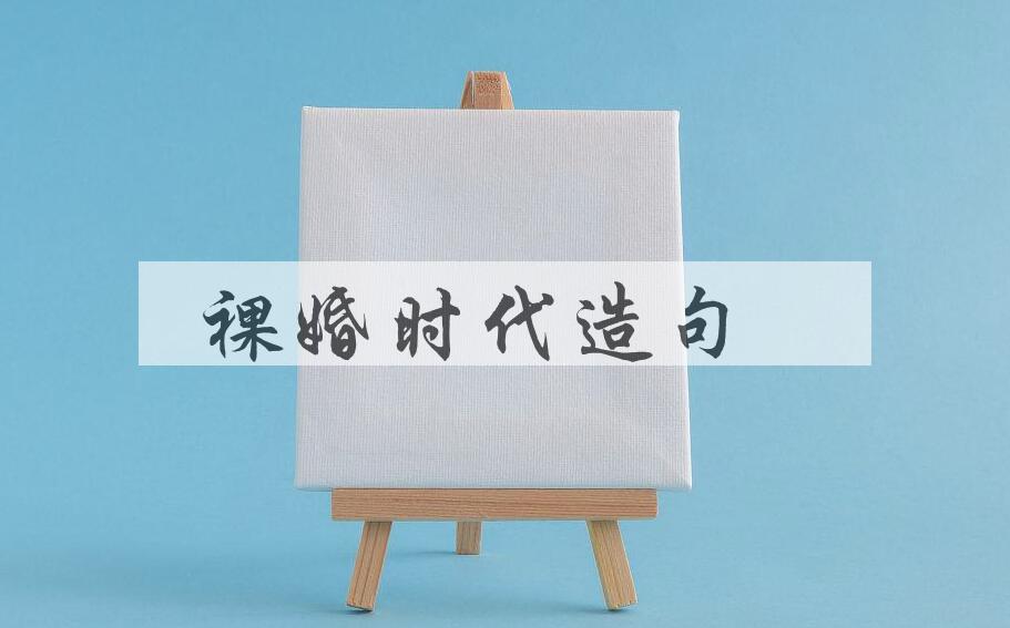 用裸婚时代造句