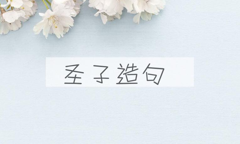 用圣子造句