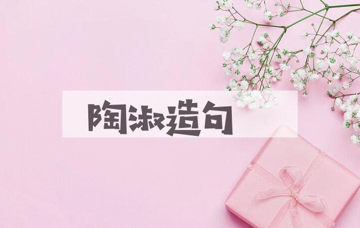 用陶淑造句