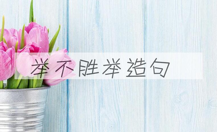 用举不胜举造句
