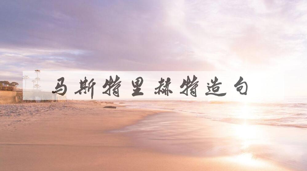 用马斯特里赫特造句