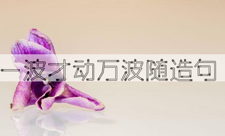 用一波才动万波随造句