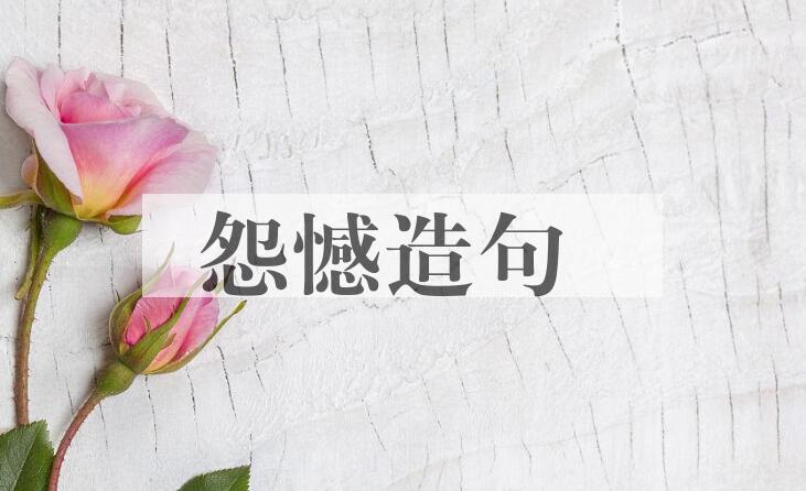 用怨憾造句
