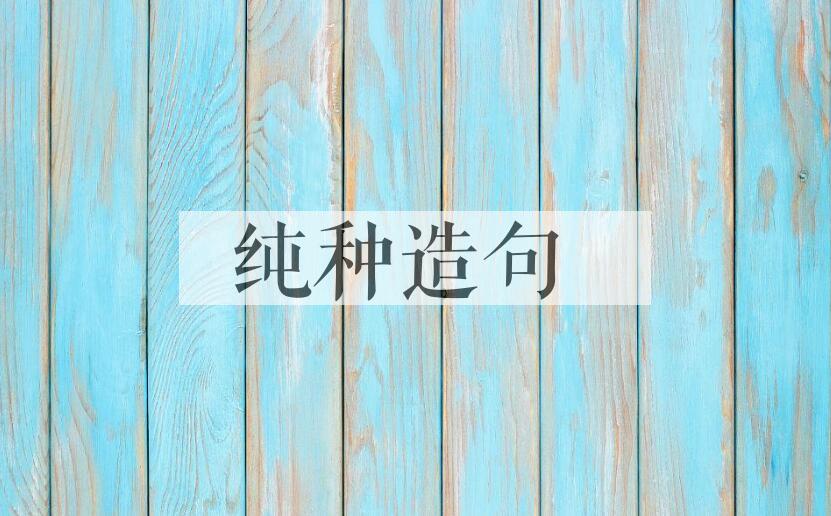 用纯种造句