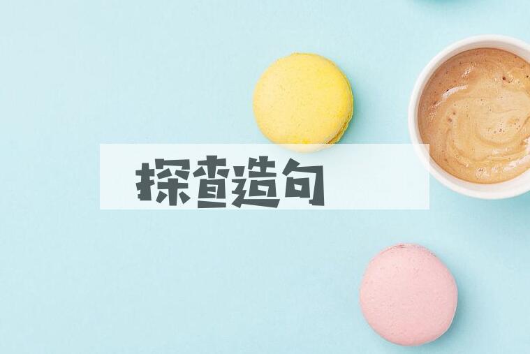 用探查造句