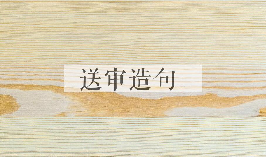 用送审造句