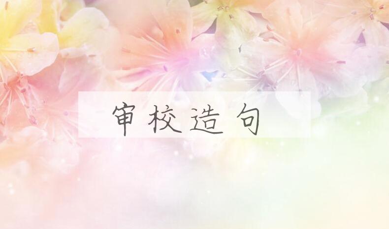 用审校造句
