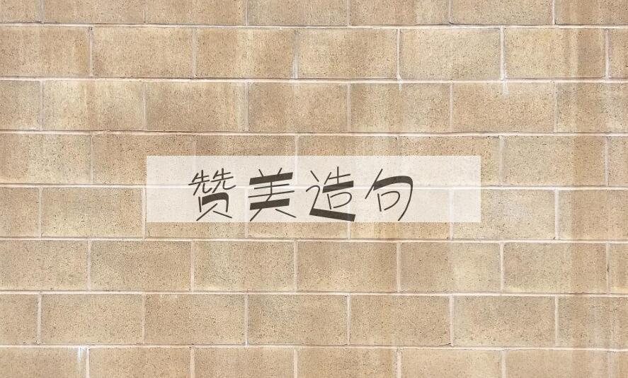 用赞美造句