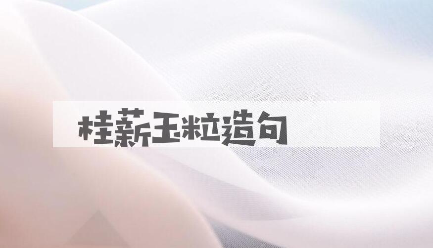 用桂薪玉粒造句