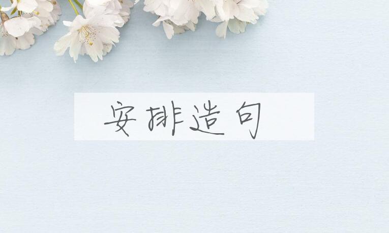用安排造句