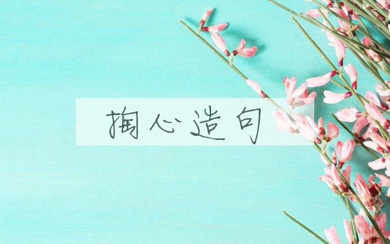 用掏心造句