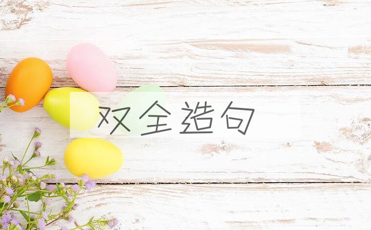 用双全造句