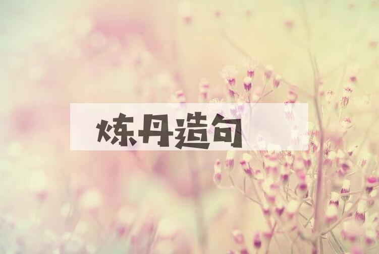 用炼丹造句